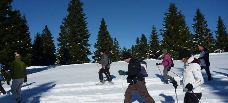 Foto 3 von Schneeschuhwanderung
