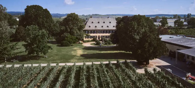 Foto 13 von Weingut & Gutshotel Baron Knyphausen