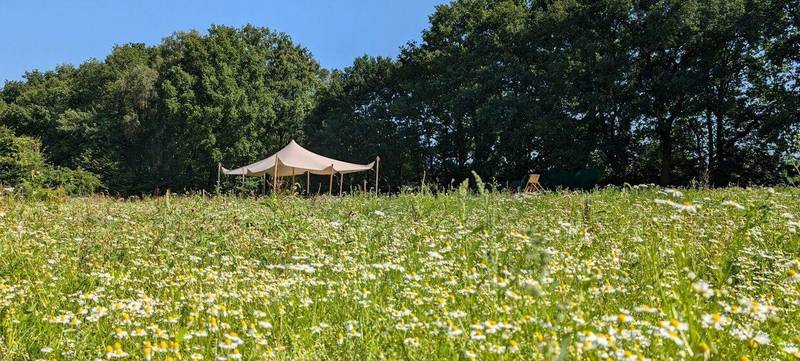 Foto 4 von SurviCamp Bremen