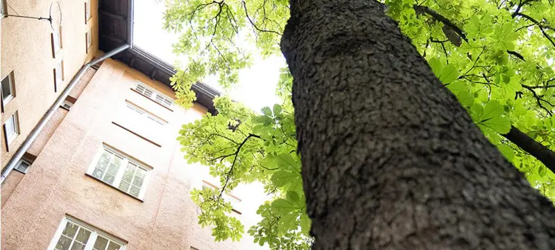 Foto 11 von Toller Kreativraum in Stuttgart Mitte/Süd