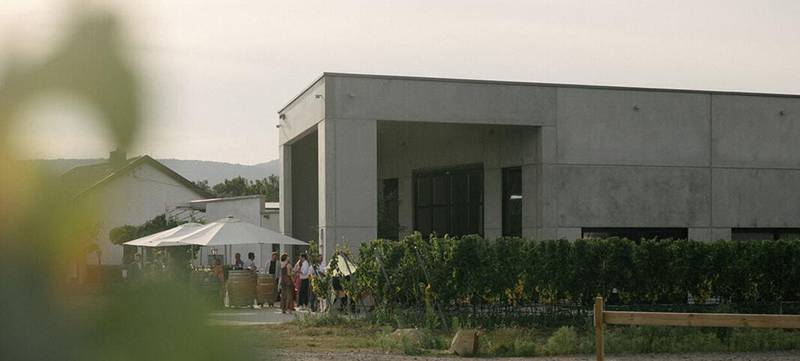 Foto 1 von Weingut Hauer