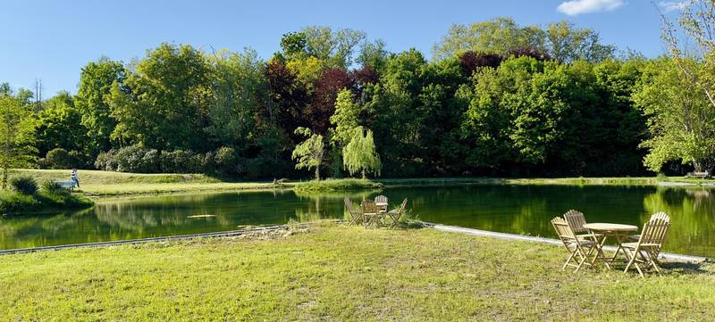 Foto 13 von Botanischer Garten Schloss Bieberstein