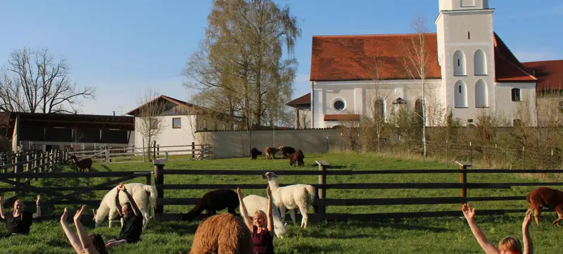 Foto 4 von Pointnerhof Alpakas & Lamas