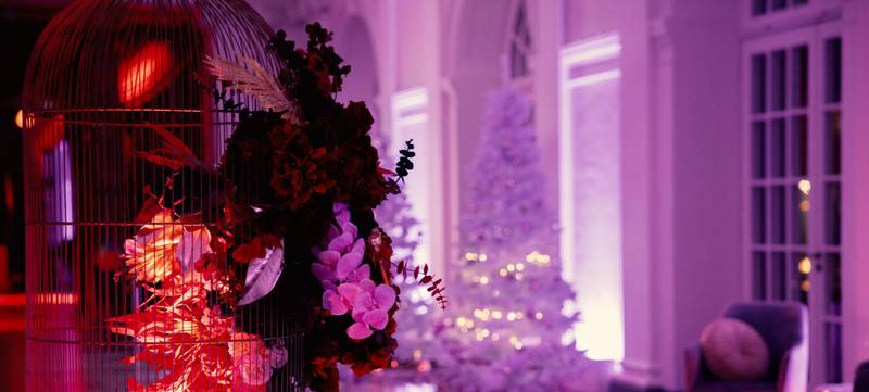 Foto 3 von Weihnachtspauschale Paket 4