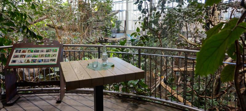 Foto 5 von Marché im Zoologischen Stadtgarten Karlsruhe