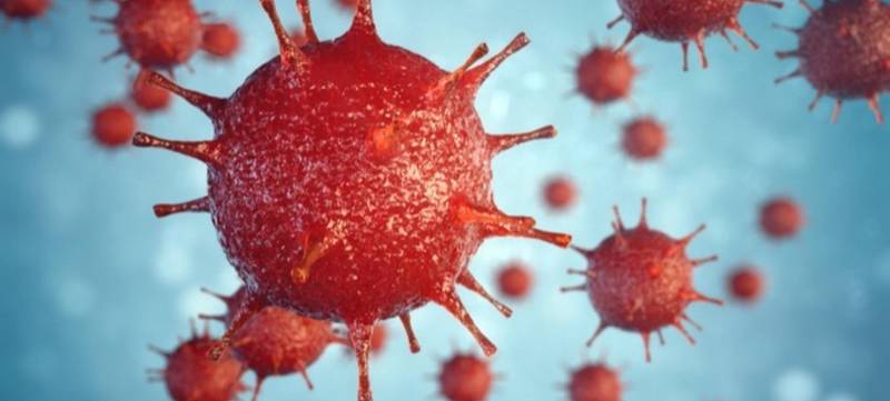 Foto 1 von Virus Infection