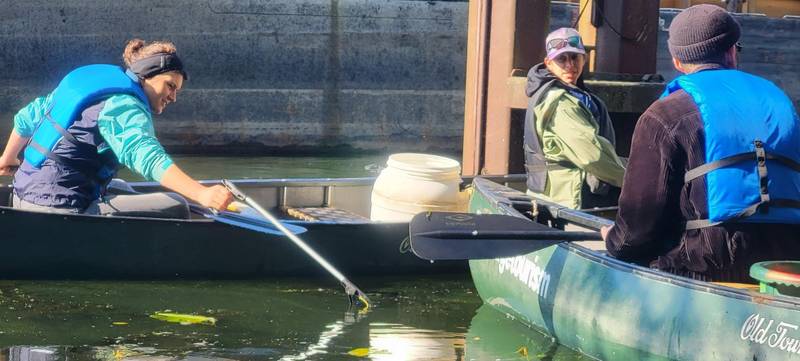 Foto 2 von Cleanup Berlin - Nachhaltiges Teamevent auf dem Wasser