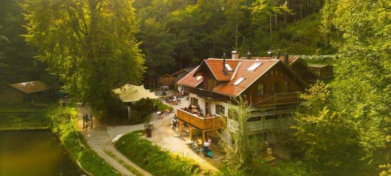 Foto 1 von Waldschlucht