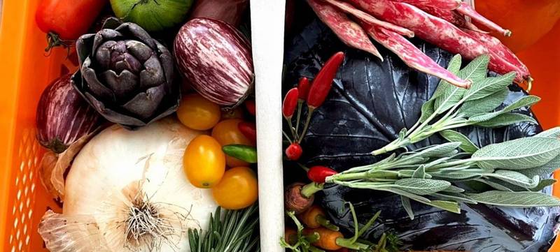 Foto 3 von PlantAmour Foodlab