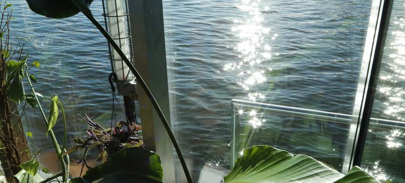 Foto 3 von Stilvolles Sommerfest auf dem Wasser in Berlin